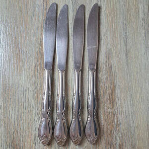 ONEIDA WM A Rogers Montclair Stainess LTD 10 knives